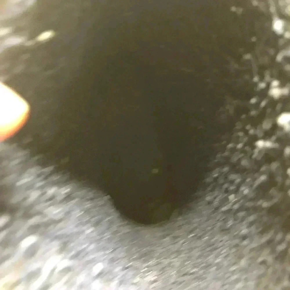 Camo Dinosaur  Rain Boots Size 10 - Picture 11 of 16